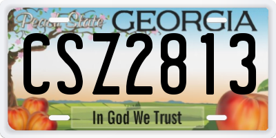 GA license plate CSZ2813