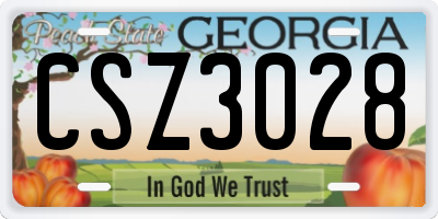 GA license plate CSZ3028