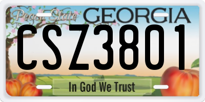 GA license plate CSZ3801