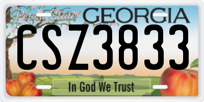 GA license plate CSZ3833