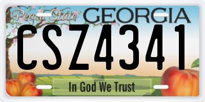 GA license plate CSZ4341