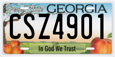 GA license plate CSZ4901
