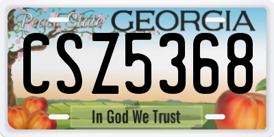 GA license plate CSZ5368