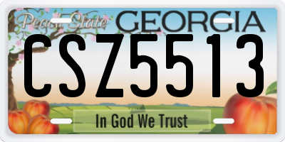 GA license plate CSZ5513