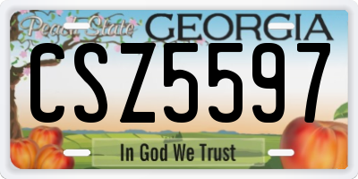 GA license plate CSZ5597