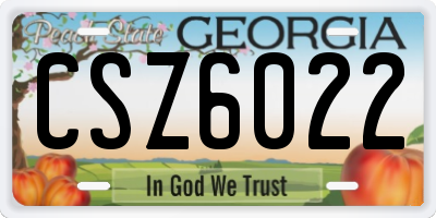 GA license plate CSZ6022