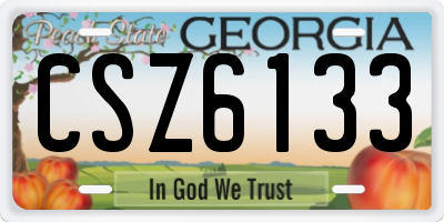 GA license plate CSZ6133