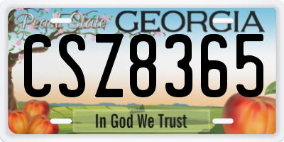 GA license plate CSZ8365