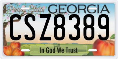 GA license plate CSZ8389