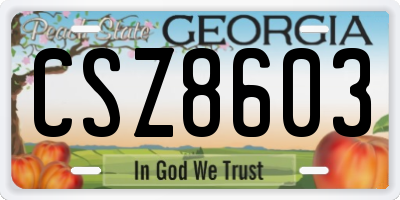 GA license plate CSZ8603