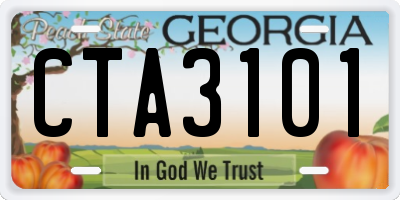 GA license plate CTA3101