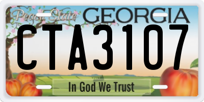 GA license plate CTA3107