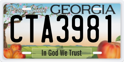 GA license plate CTA3981