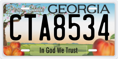 GA license plate CTA8534