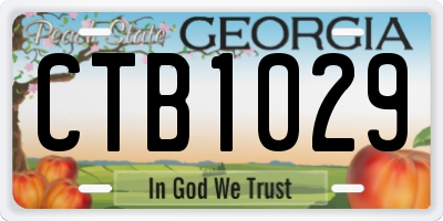 GA license plate CTB1029