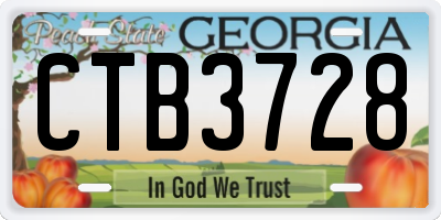 GA license plate CTB3728