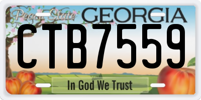 GA license plate CTB7559