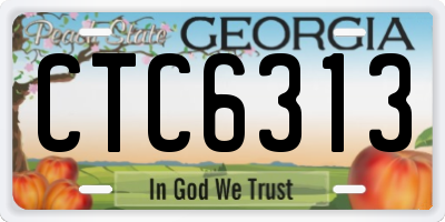 GA license plate CTC6313