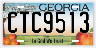 GA license plate CTC9513