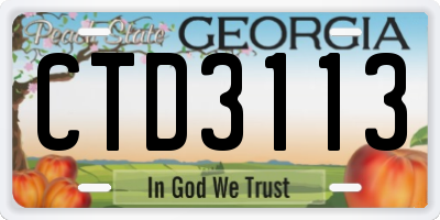GA license plate CTD3113