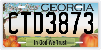 GA license plate CTD3873