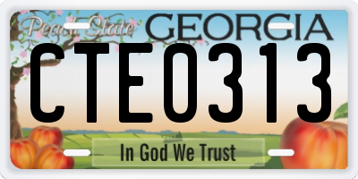 GA license plate CTE0313