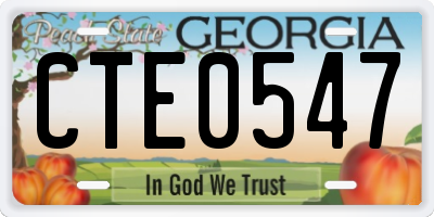 GA license plate CTE0547