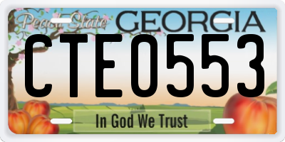 GA license plate CTE0553