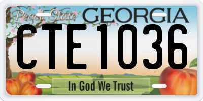 GA license plate CTE1036