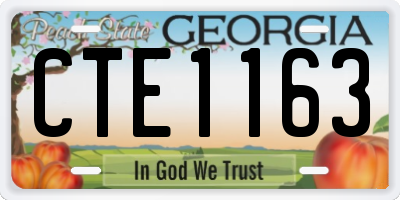 GA license plate CTE1163