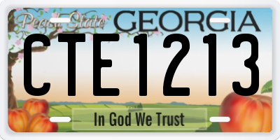 GA license plate CTE1213