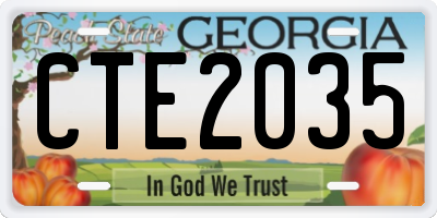 GA license plate CTE2035