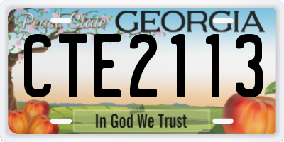 GA license plate CTE2113