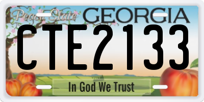 GA license plate CTE2133