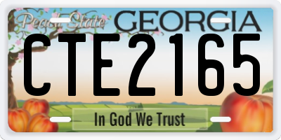 GA license plate CTE2165
