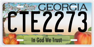 GA license plate CTE2273