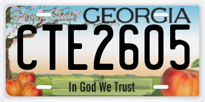 GA license plate CTE2605