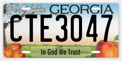 GA license plate CTE3047