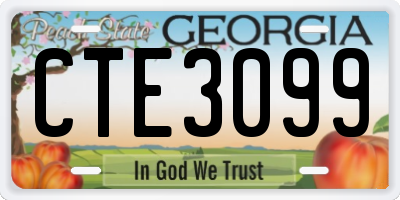 GA license plate CTE3099