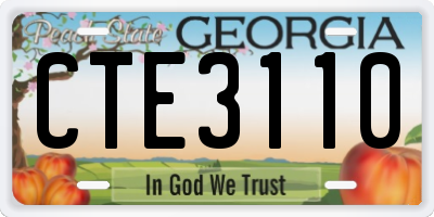 GA license plate CTE3110