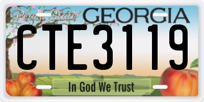 GA license plate CTE3119