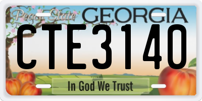 GA license plate CTE3140