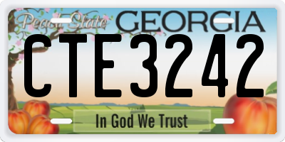 GA license plate CTE3242
