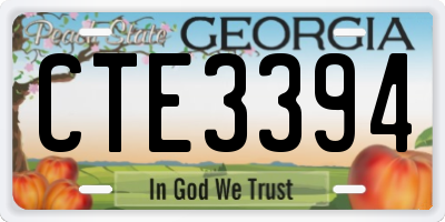 GA license plate CTE3394