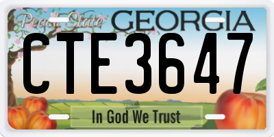 GA license plate CTE3647
