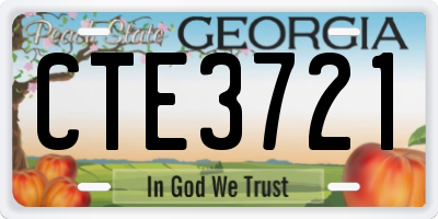 GA license plate CTE3721