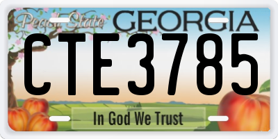 GA license plate CTE3785