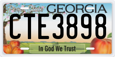 GA license plate CTE3898