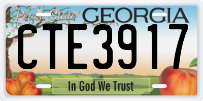 GA license plate CTE3917