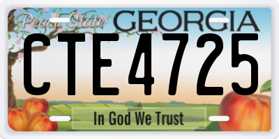 GA license plate CTE4725